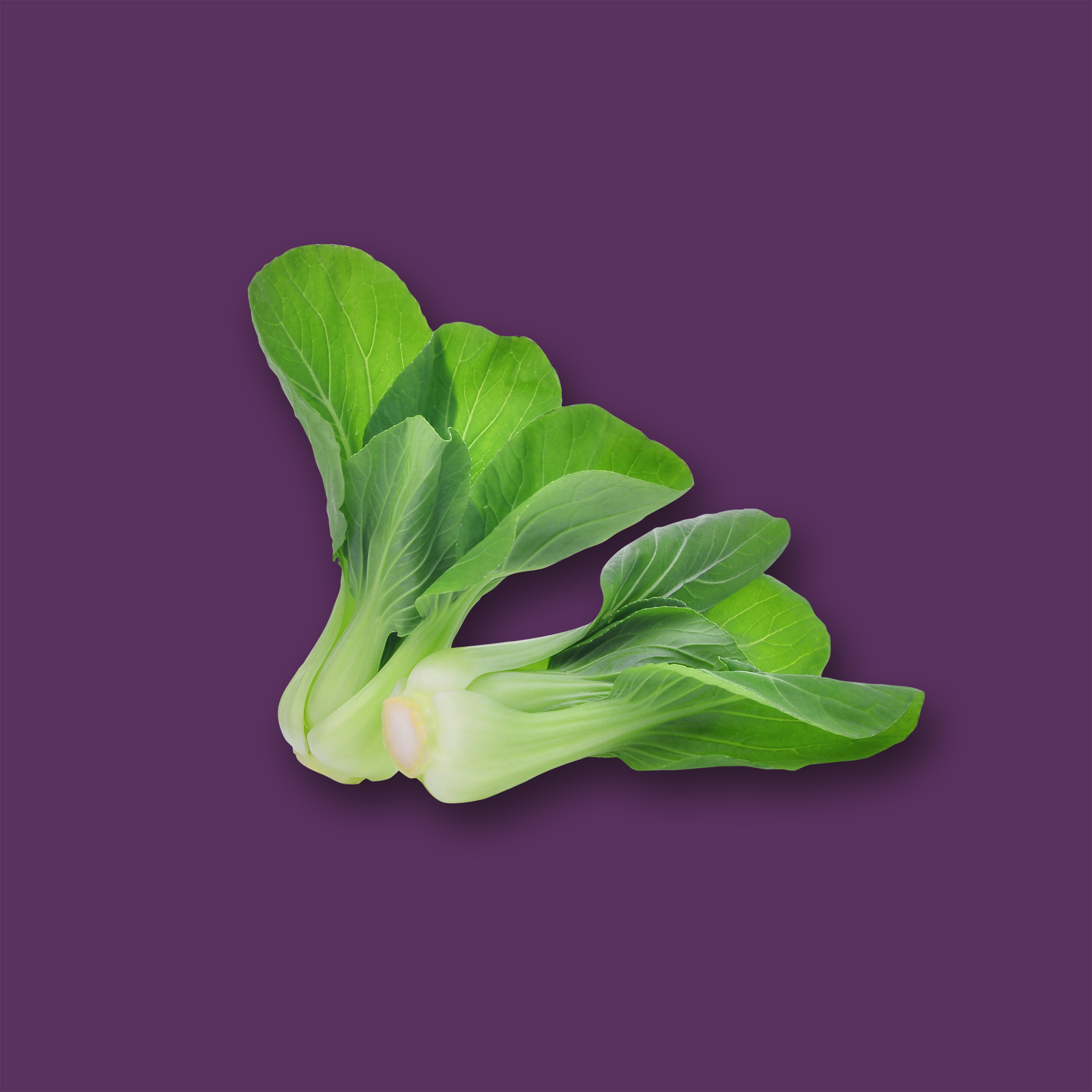 Baby Pak Choi