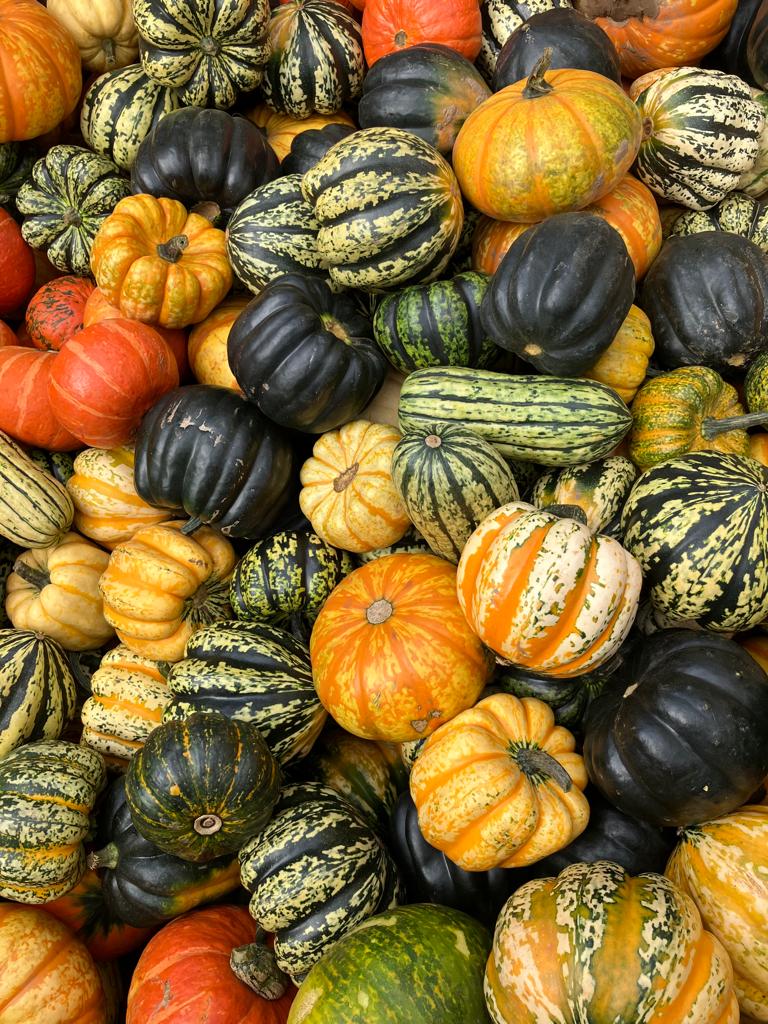 Mixed Squash