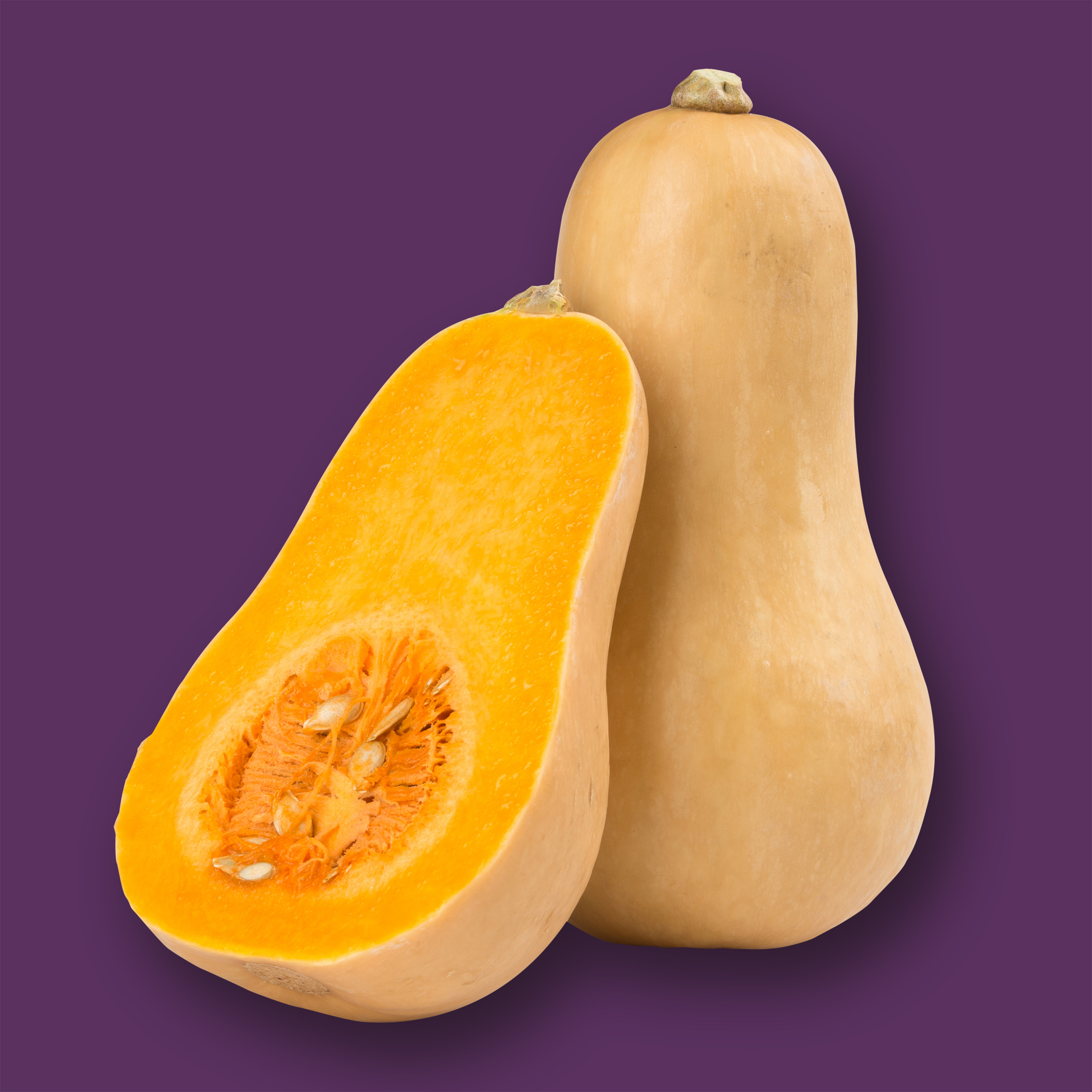 Butternut Squash