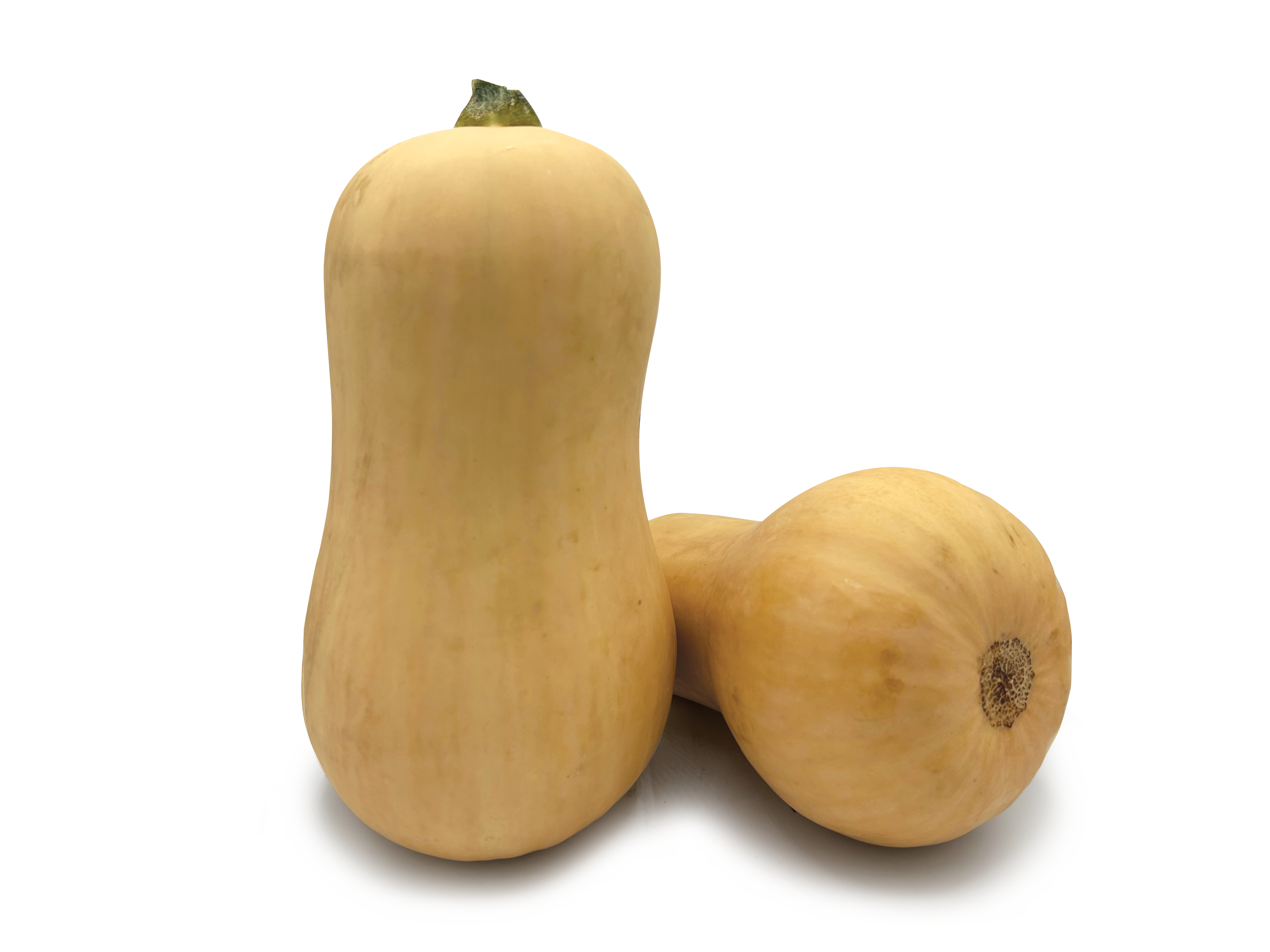 Butternut Squash