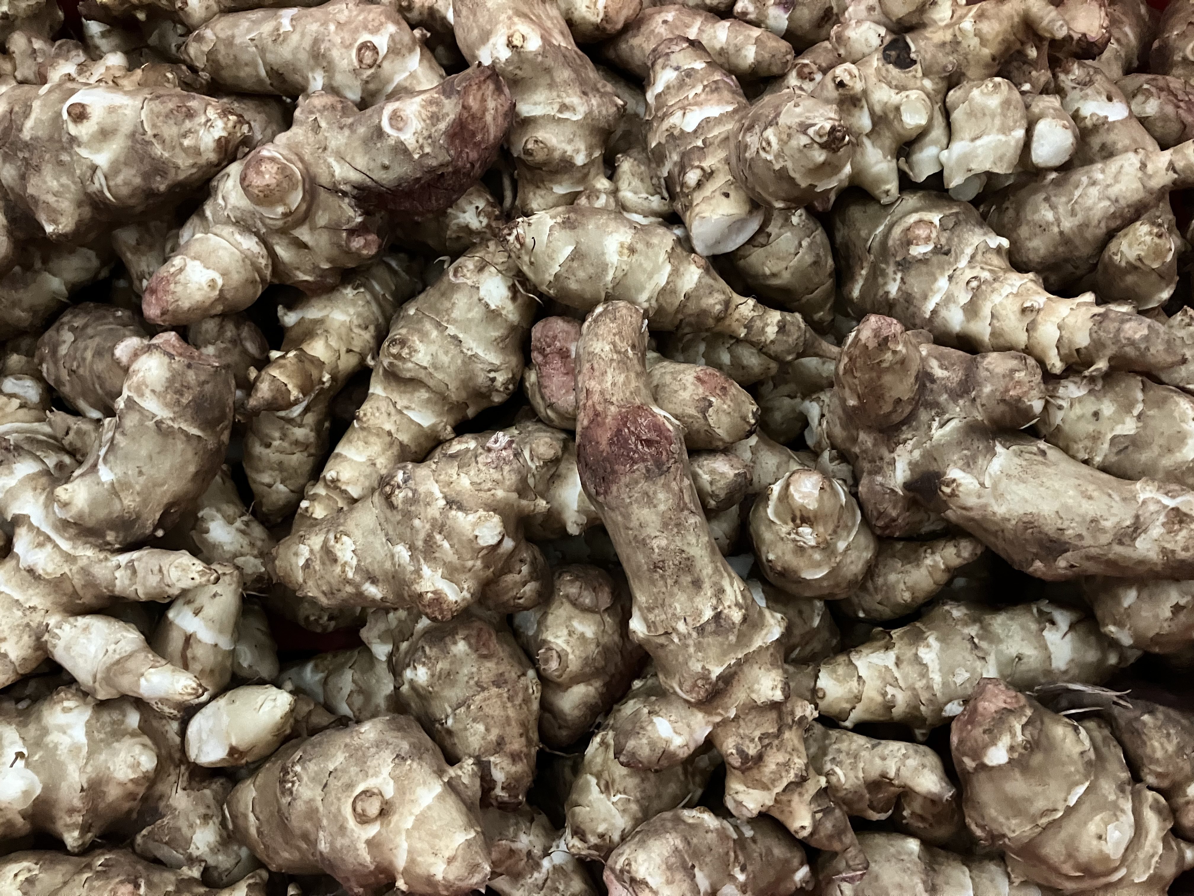 Jerusalem Artichokes