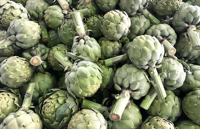 Globe Artichokes