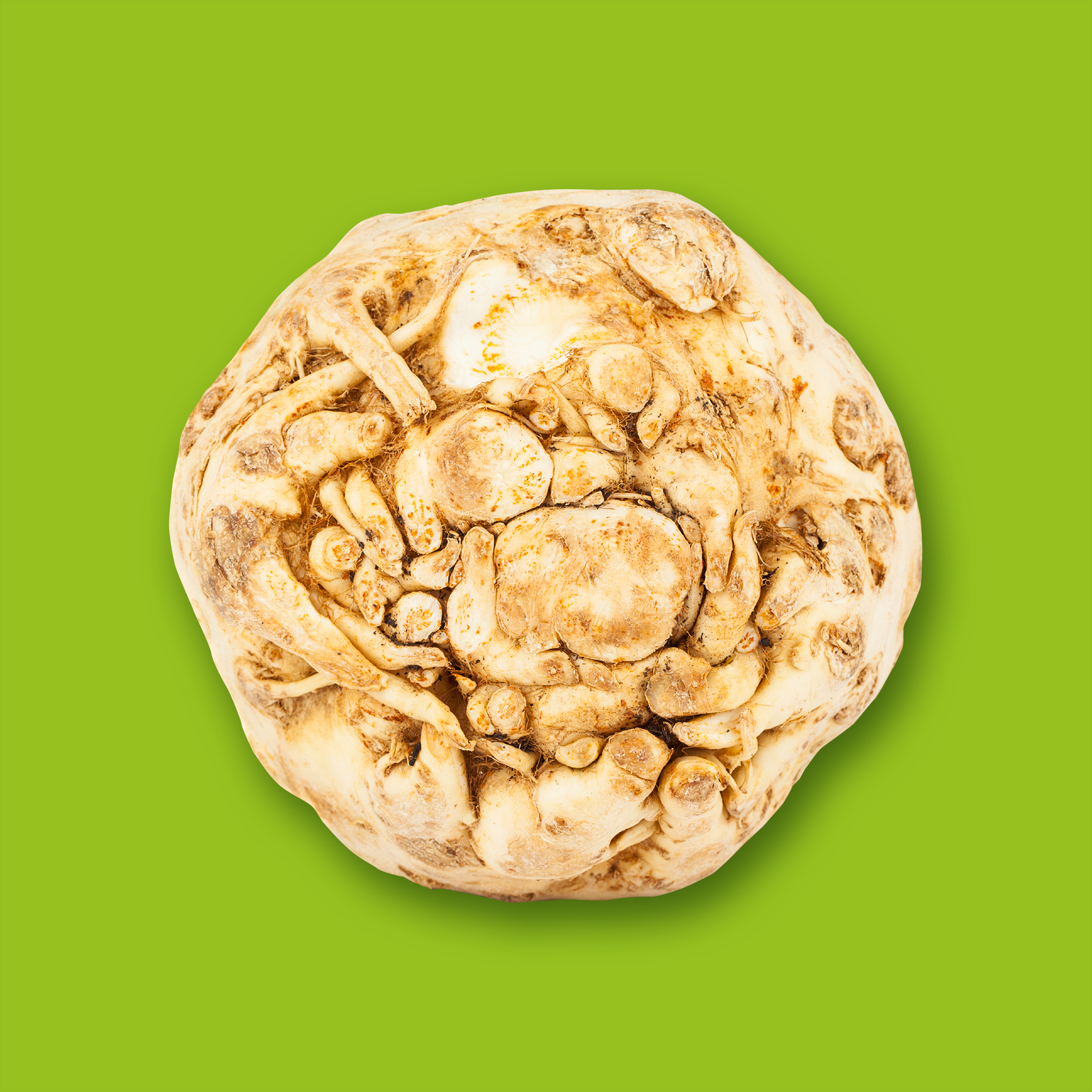 Celeriac
