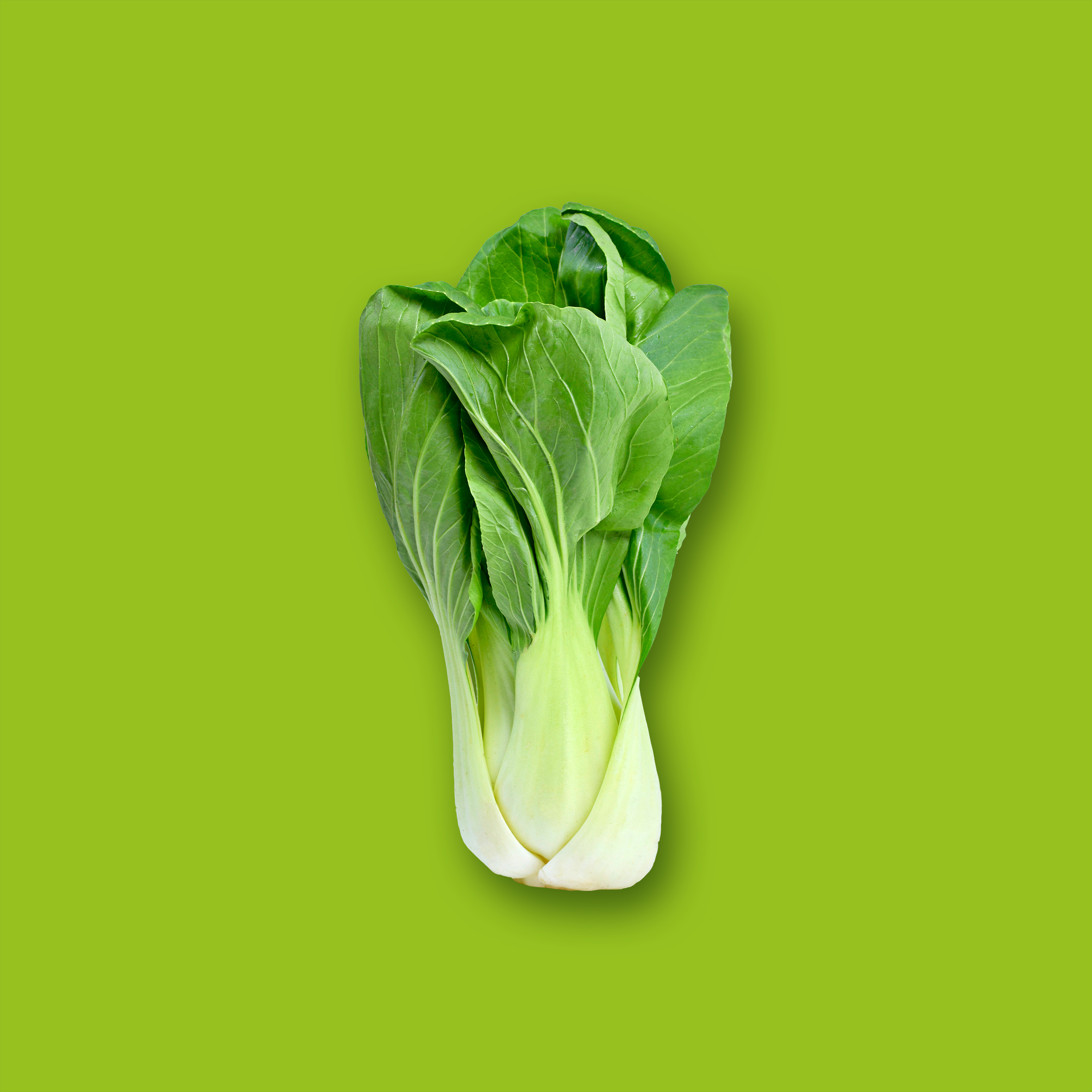 Pak Choi