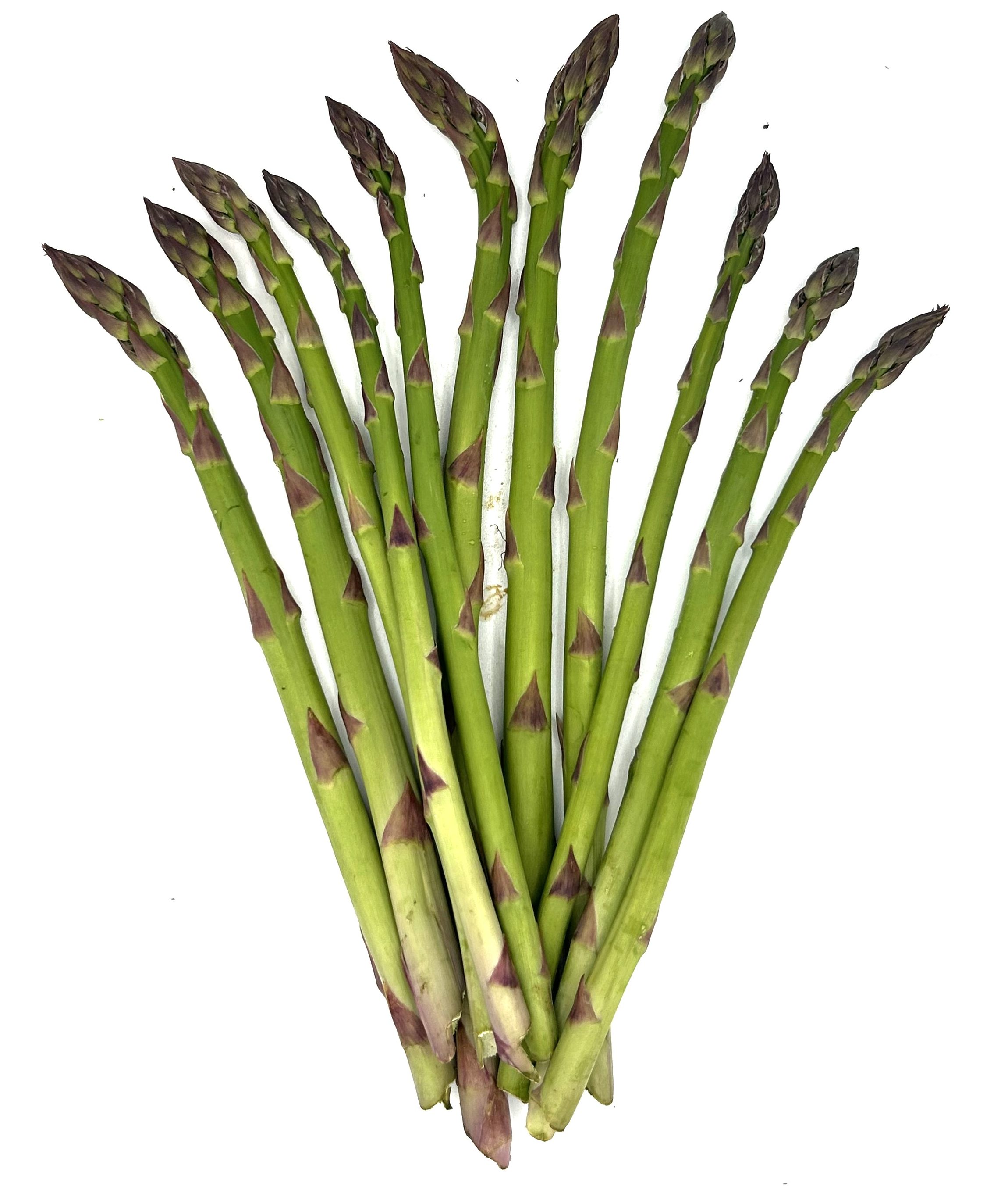 Asparagus