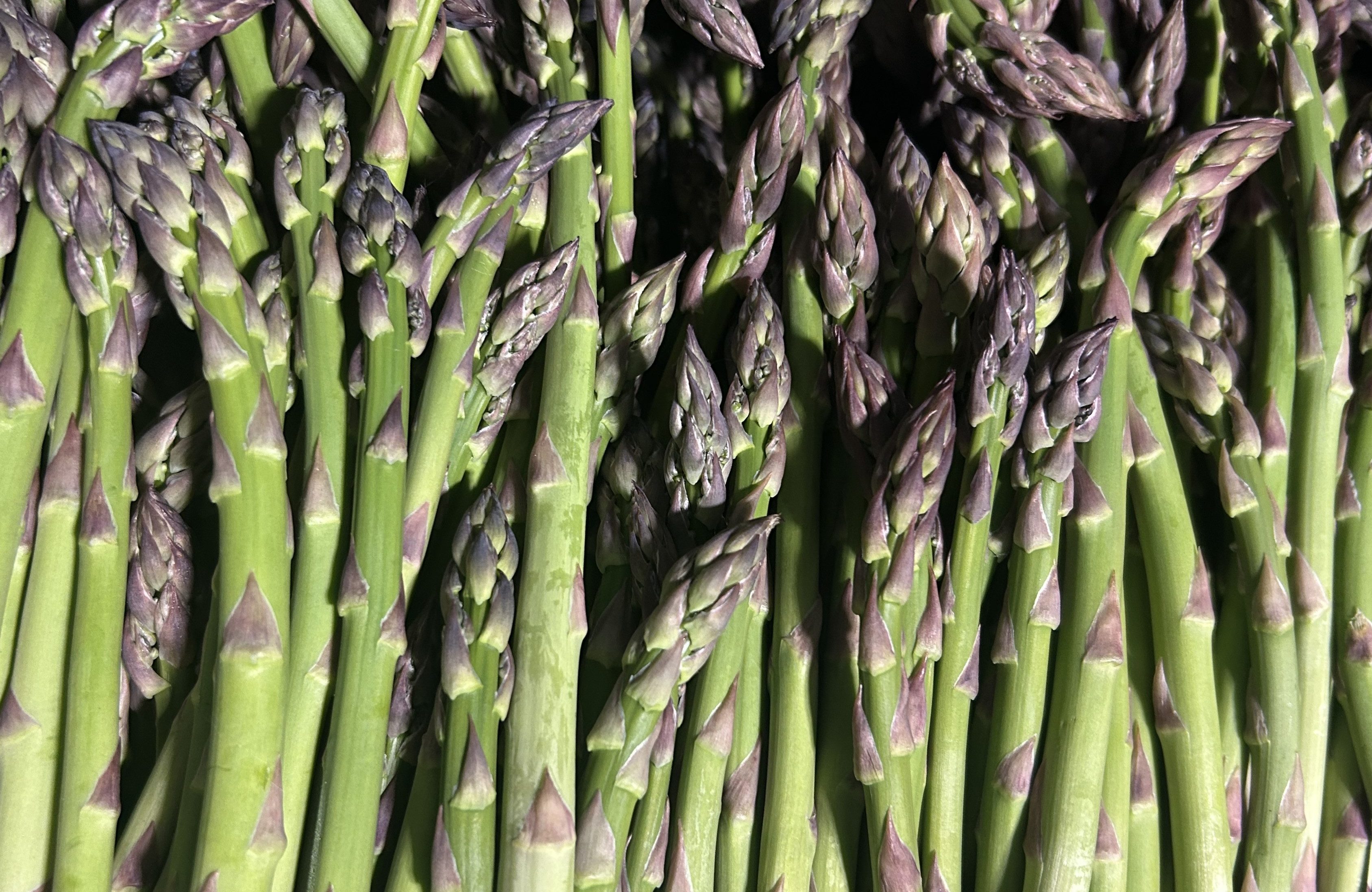 Asparagus