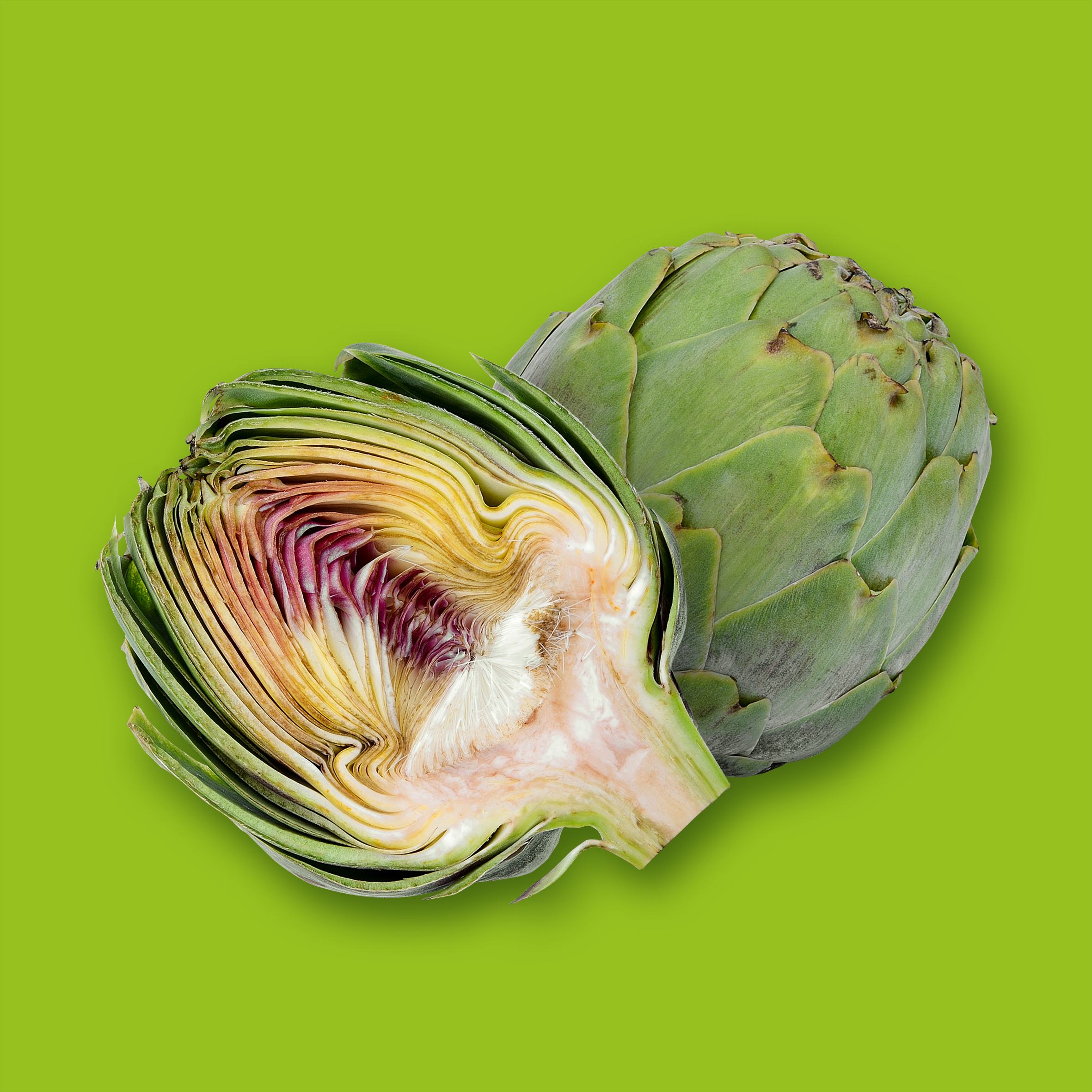 Globe Artichokes