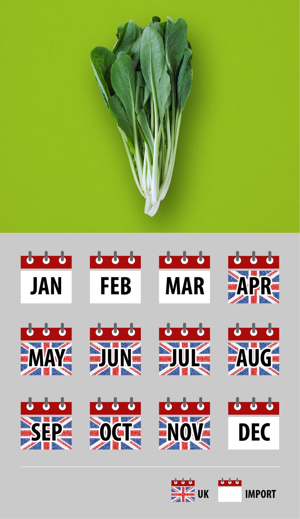 Choi Sum | Base