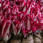 Meet Our Chicory Grower