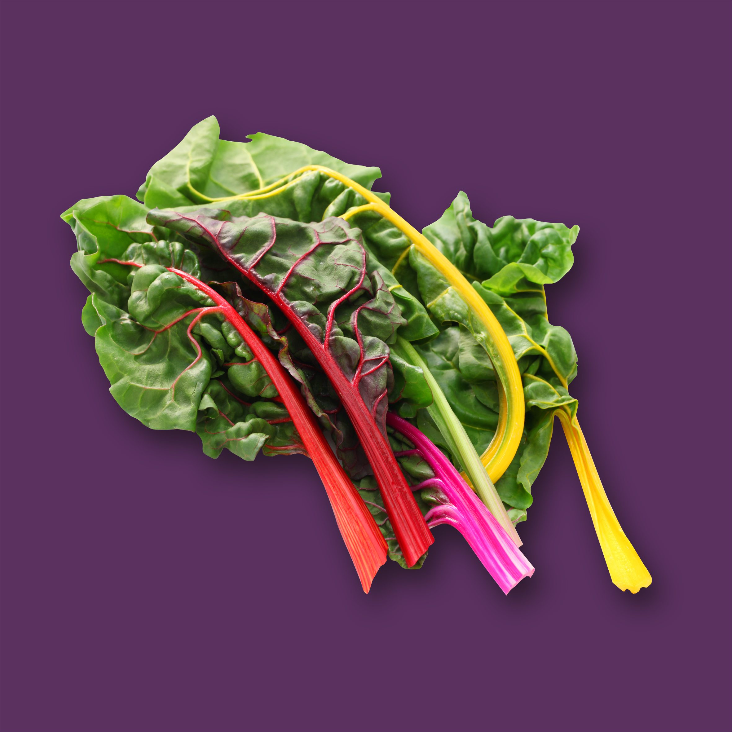 Swiss Chard