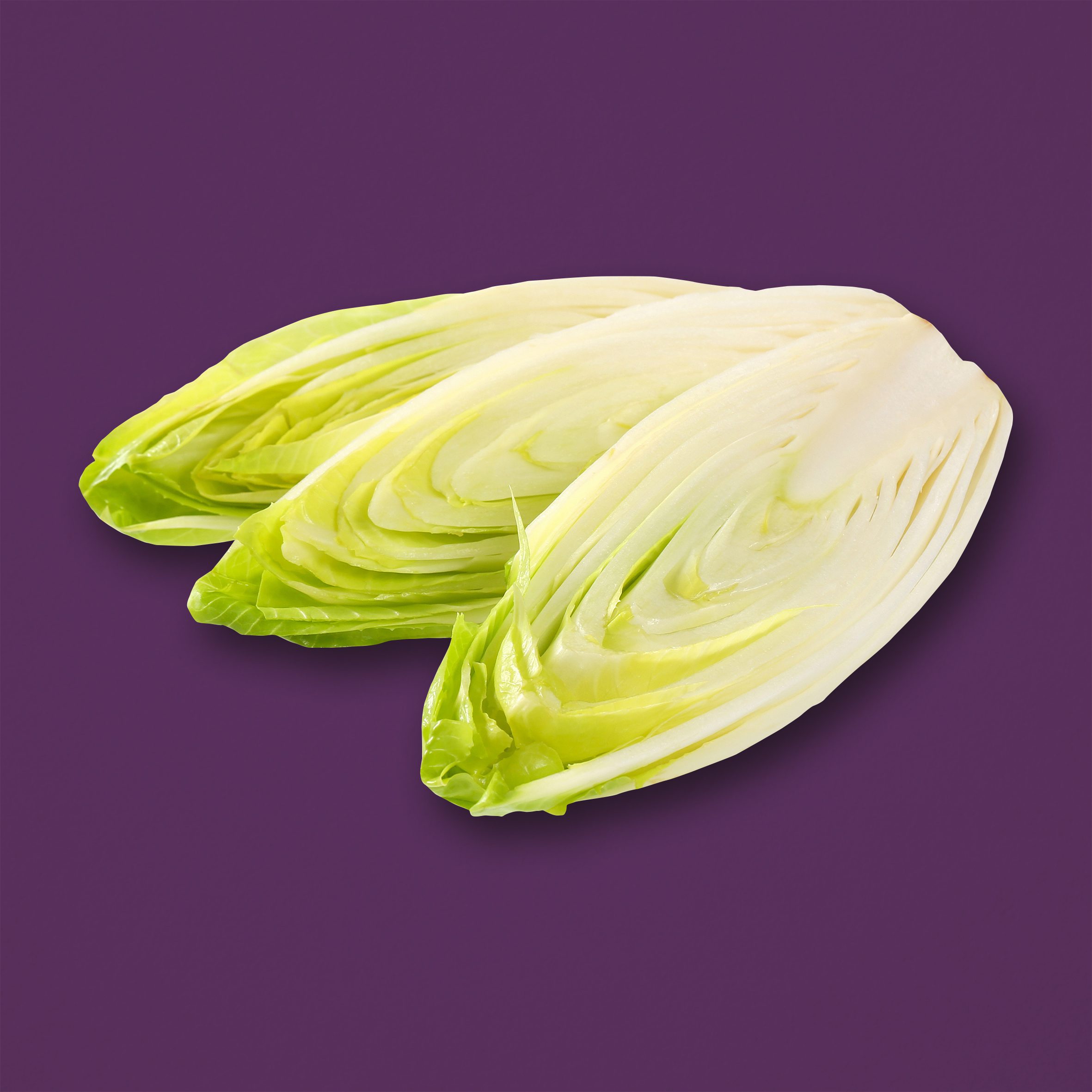 White Chicory