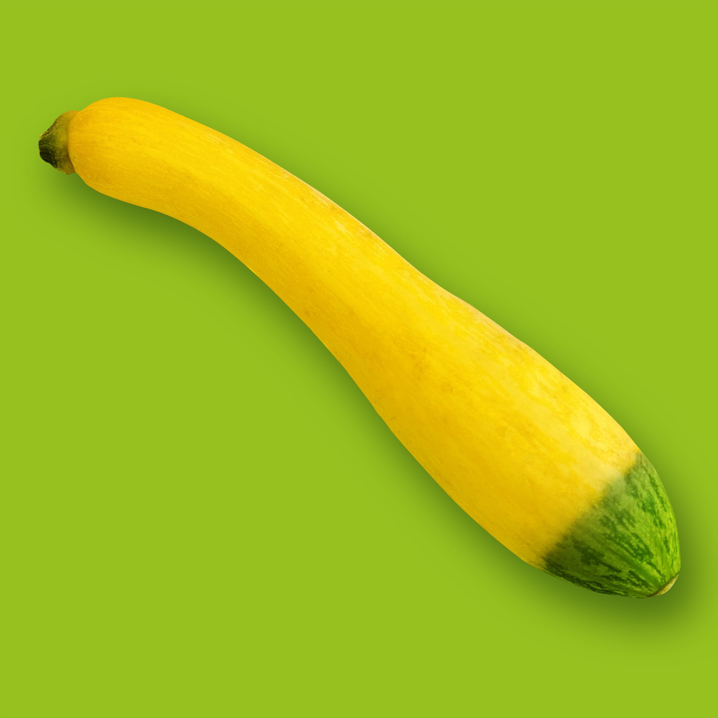 Zephyr Courgettes